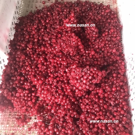 Red Berry Dryer